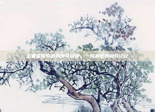 王者荣耀紫霞的传奇旋律,一段永恒的游戏记忆