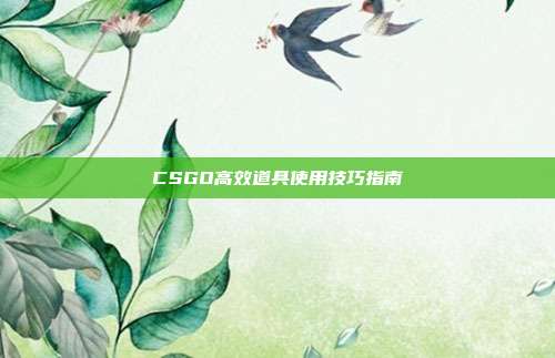 CSGO高效道具使用技巧指南