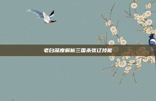老白深度解析三国杀张辽技能