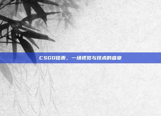 CSGO佳雨,一场视觉与技术的盛宴