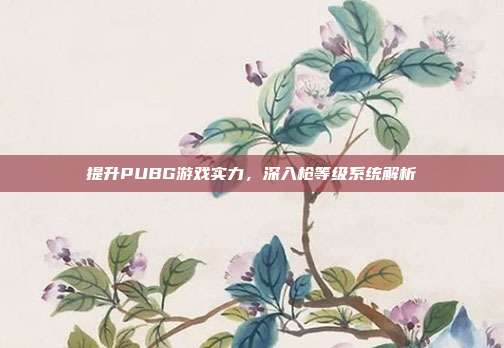 提升PUBG游戏实力,深入枪等级系统解析