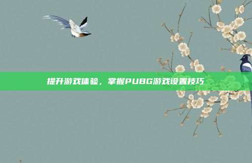 提升游戏体验,掌握PUBG游戏设置技巧