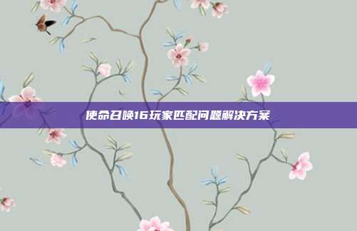 使命召唤16玩家匹配问题解决方案