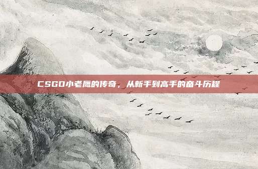 CSGO小老鹰的传奇,从新手到高手的奋斗历程