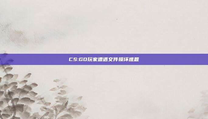 CS:GO玩家遭遇文件损坏难题