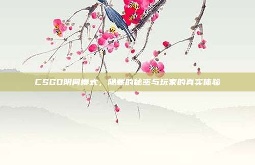 CSGO阴间模式,隐藏的秘密与玩家的真实体验