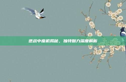 逆战中座机揭秘,独特魅力深度解析