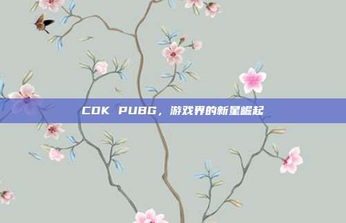 CDK PUBG,游戏界的新星崛起