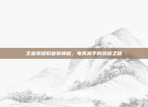 王者荣耀职业赛神超,电竞高手的荣耀之路