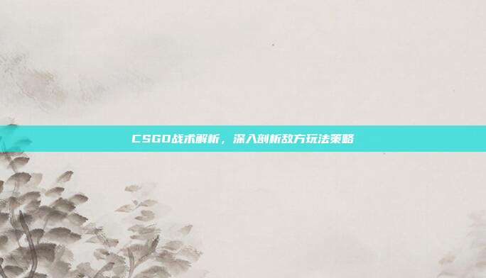 CSGO战术解析,深入剖析敌方玩法策略