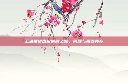 王者荣耀国服荣耀之路,挑战与机遇并存