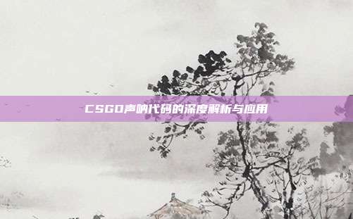 CSGO声呐代码的深度解析与应用