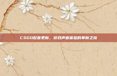 CSGO配音更新,游戏声音体验的革新之旅