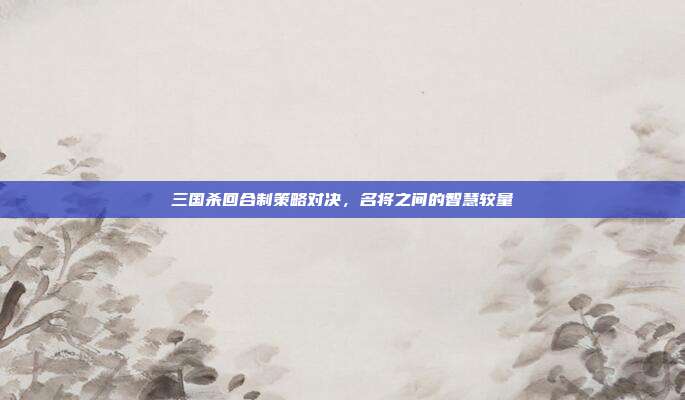 三国杀回合制策略对决,名将之间的智慧较量