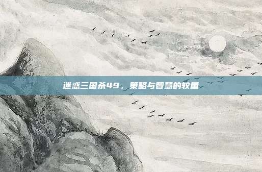 迷惑三国杀49,策略与智慧的较量