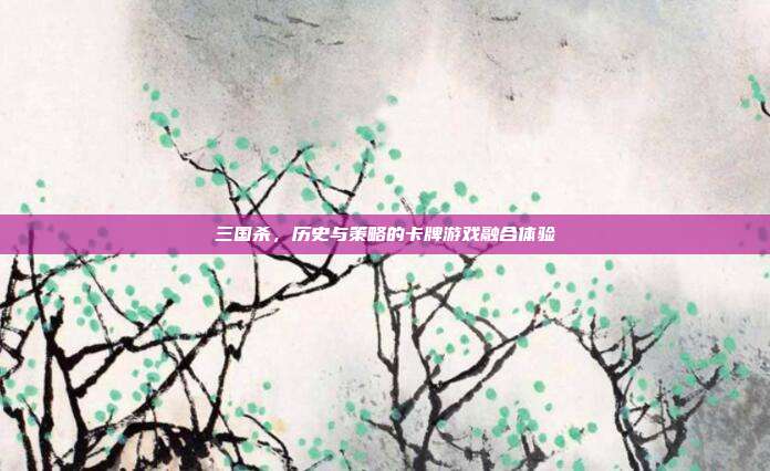 三国杀,历史与策略的卡牌游戏融合体验
