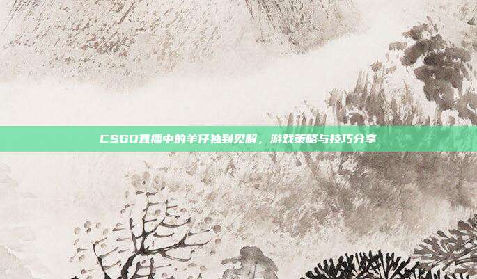 CSGO直播中的羊仔独到见解,游戏策略与技巧分享