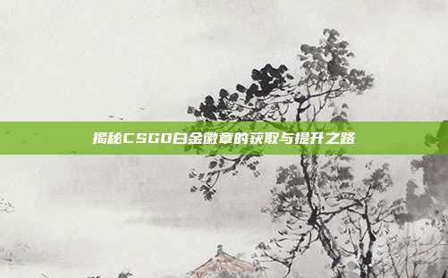 揭秘CSGO白金徽章的获取与提升之路