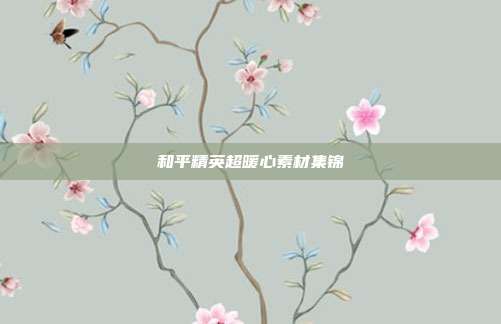和平精英超暖心素材集锦