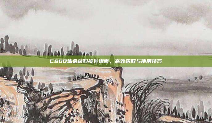 CSGO炼金材料挑选指南,高效获取与使用技巧