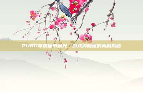 PUBG车皮细节曝光,游戏内隐藏的真相揭秘
