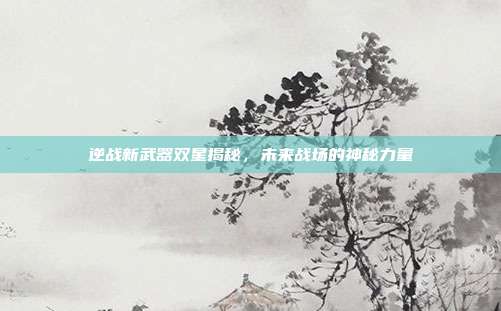 逆战新武器双星揭秘,未来战场的神秘力量