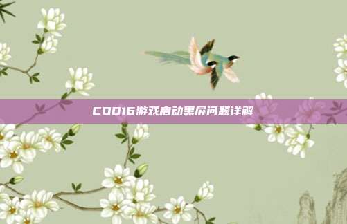 COD16游戏启动黑屏问题详解