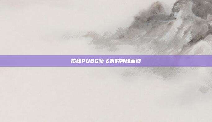 揭秘PUBG新飞机的神秘面纱
