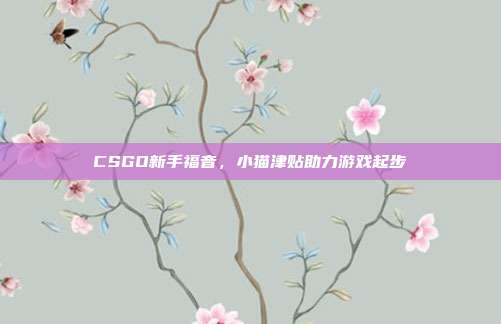 CSGO新手福音,小猫津贴助力游戏起步