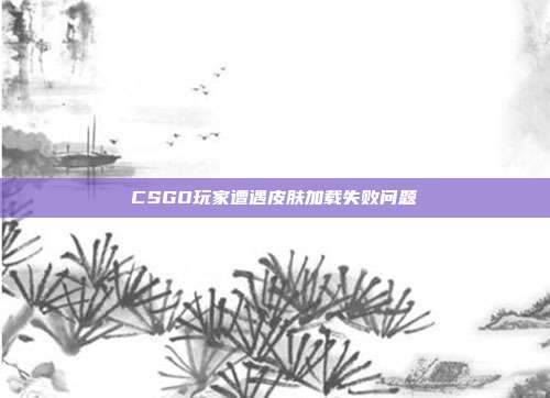 CSGO玩家遭遇皮肤加载失败问题