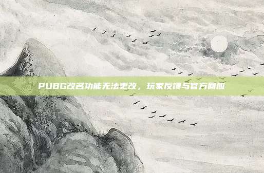 PUBG改名功能无法更改,玩家反馈与官方回应