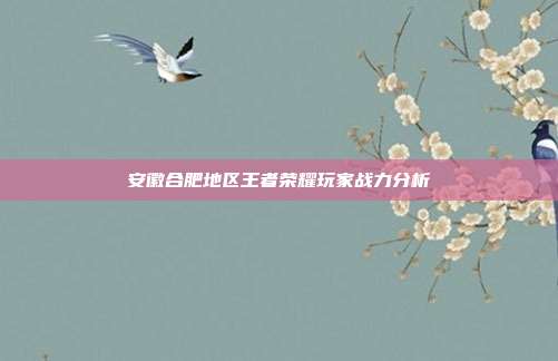 安徽合肥地区王者荣耀玩家战力分析