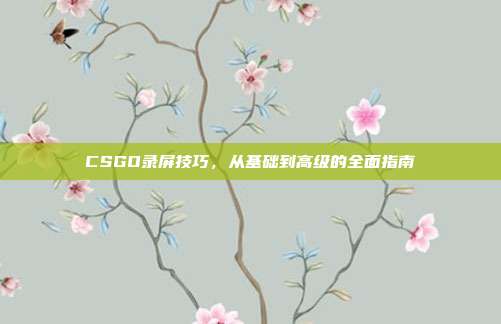 CSGO录屏技巧,从基础到高级的全面指南