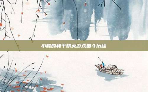 小林的和平精英游戏奋斗历程