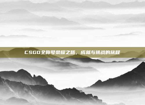 CSGO全称号荣耀之路,成就与挑战的旅程