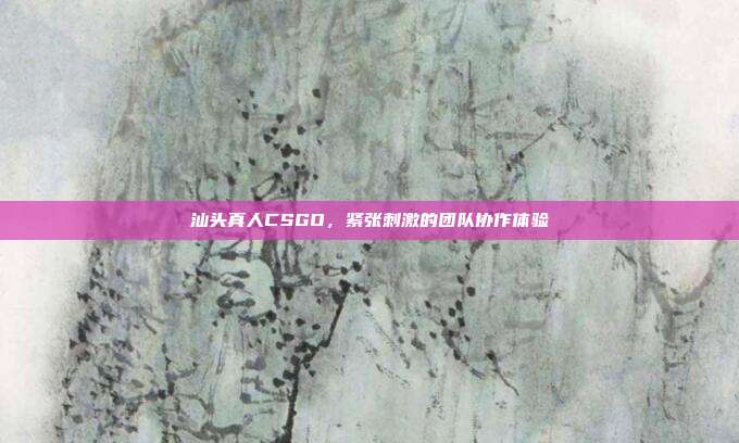 汕头真人CSGO,紧张刺激的团队协作体验