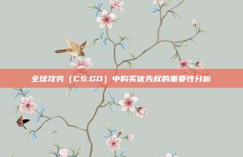 全球攻势(CS:GO)中购买优先权的重要性分析