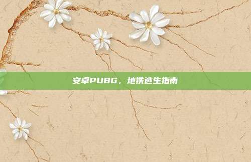 安卓PUBG,地铁逃生指南