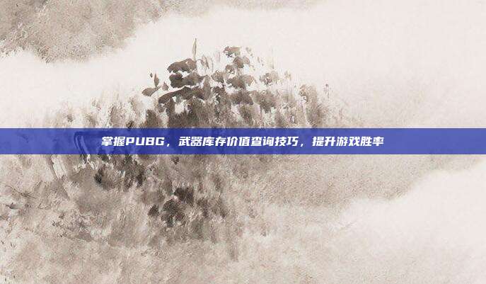 掌握PUBG,武器库存价值查询技巧,提升游戏胜率