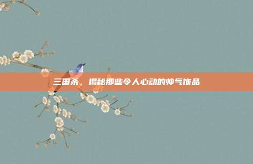 三国杀,揭秘那些令人心动的帅气饰品