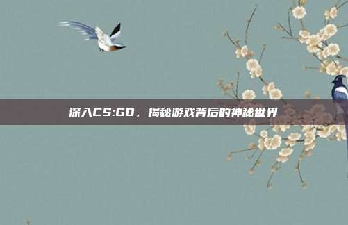 深入CS:GO,揭秘游戏背后的神秘世界