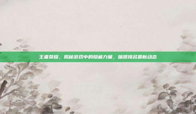 王者荣耀,揭秘游戏中的隐藏力量,暗器排名最新动态