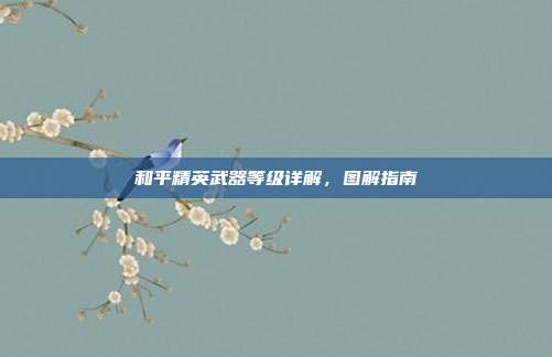 和平精英武器等级详解,图解指南