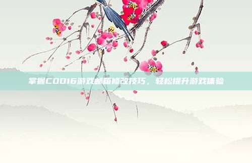 掌握COD16游戏邮箱修改技巧,轻松提升游戏体验
