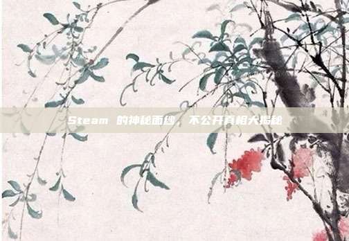 Steam 的神秘面纱,不公开真相大揭秘