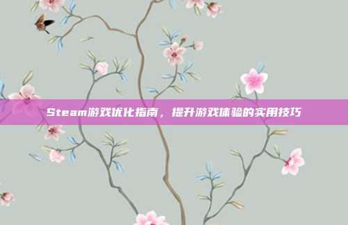 Steam游戏优化指南,提升游戏体验的实用技巧