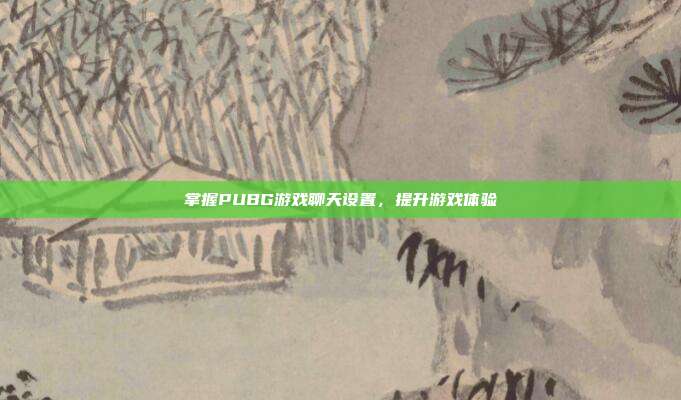 掌握PUBG游戏聊天设置,提升游戏体验