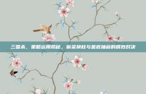 三国杀,策略运用揭秘,偷梁换柱与釜底抽薪的精妙对决