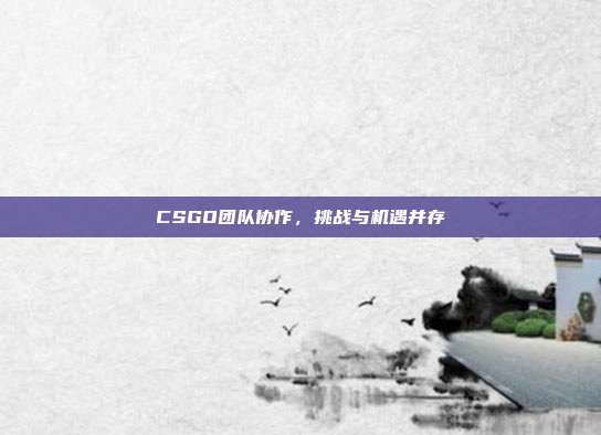 CSGO团队协作,挑战与机遇并存