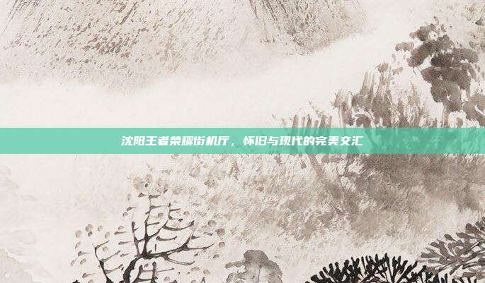 沈阳王者荣耀街机厅,怀旧与现代的完美交汇